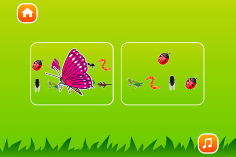皮皮猴认昆虫：儿童昆虫游戏大全2岁 screenshot 2