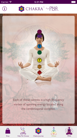 Chakra by Piya