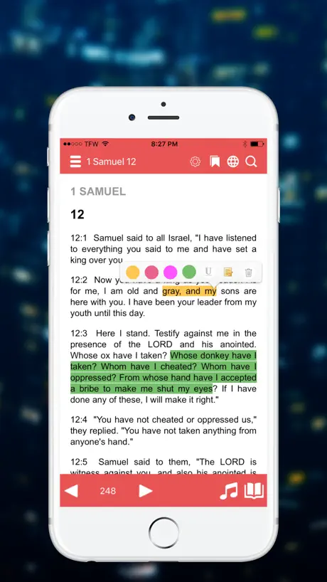 NRSV Bible
