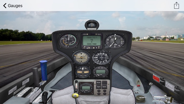 FSX Animated Cockpits