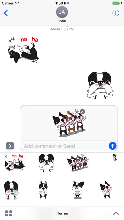 Terrier Animated Stickers