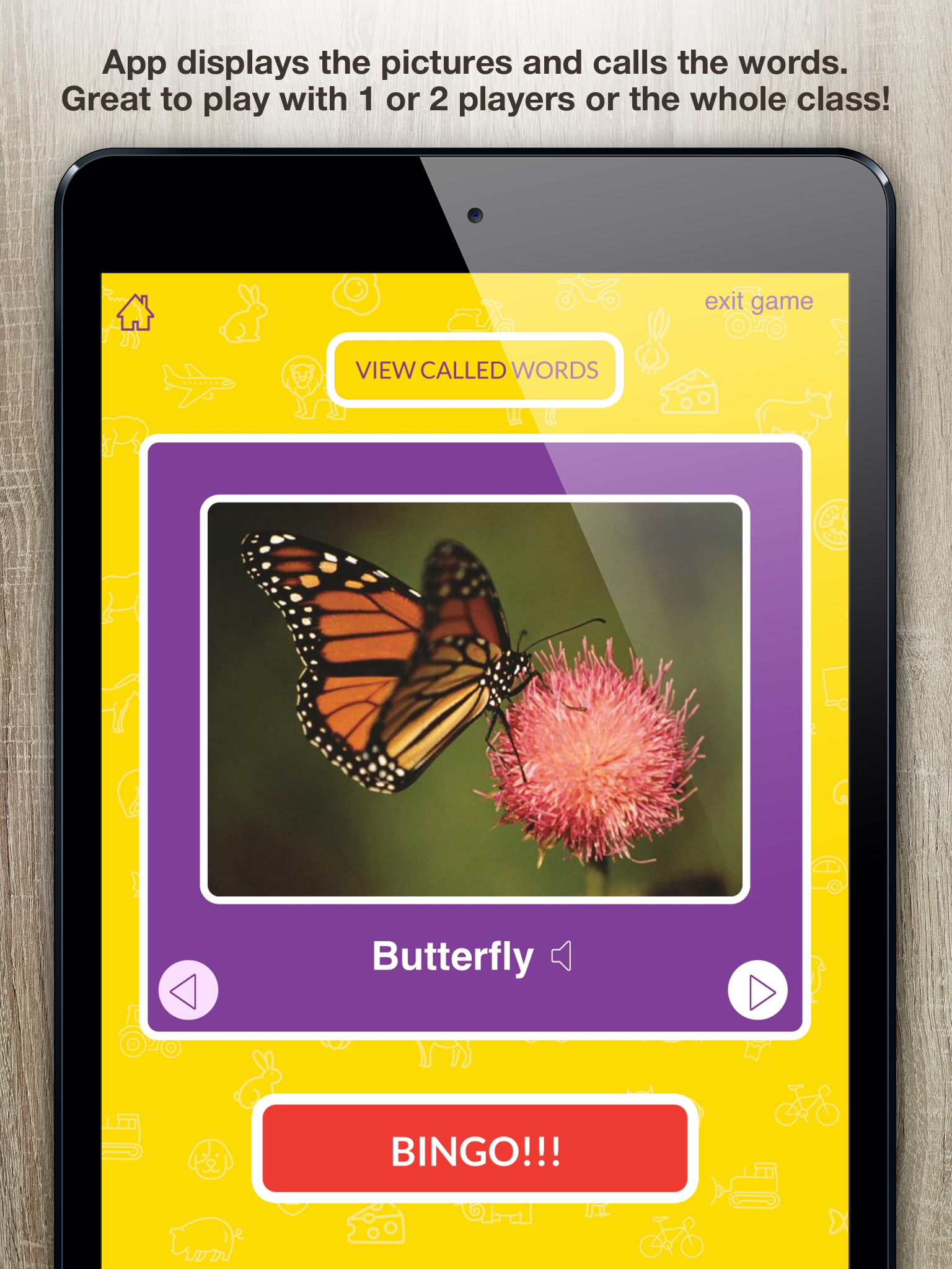 Picture Recognition Bingo Caller's App