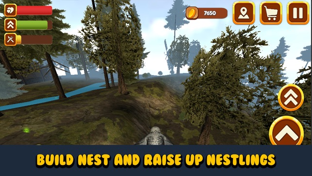 Wild Owl Bird Survival Simulator(圖3)-速報App