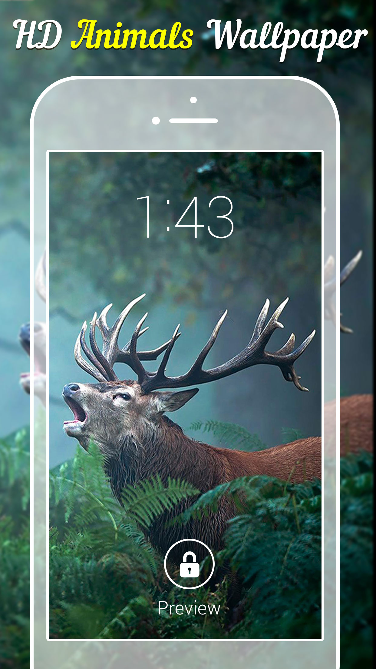 Animal Wallpapers & Backgrounds