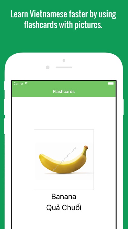 Vietnamese Flashcards with Pictures Lite