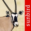 Mammal Guide of Southern Africa icon