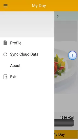 Game screenshot fitmefit food hack