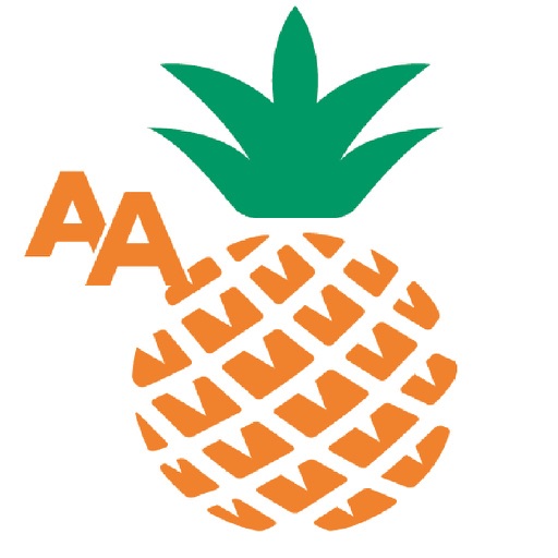 AA Oceanfront Vacation Guide icon