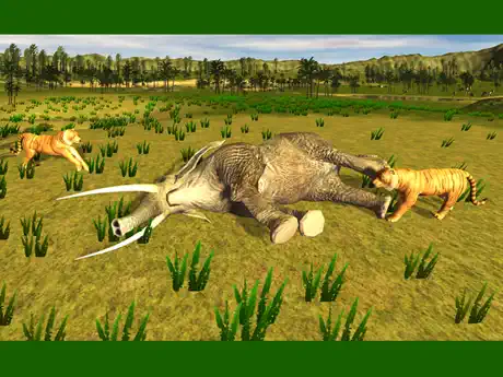 Tiger Simulator & Safari Jungle Animal