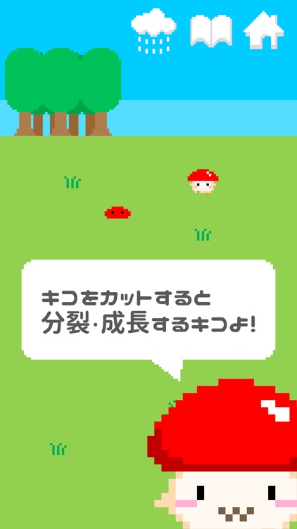 森のキコちゃん