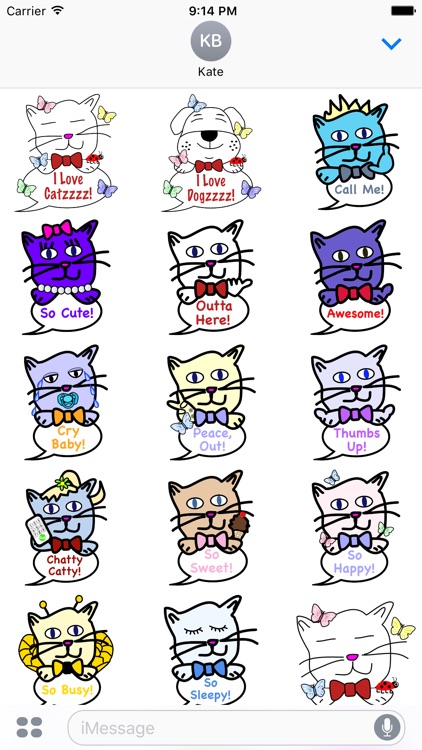 Catzzzz - Cute & Cuddly