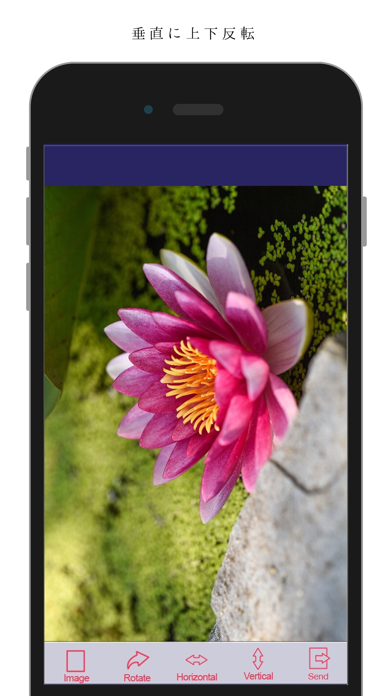 Flipper - 写真を簡単に回転、反転 screenshot1