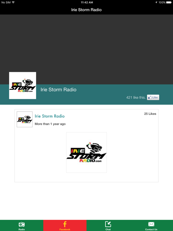 Screenshot #5 pour Irie Storm Radio