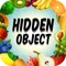"You can find all the hidden object or not
