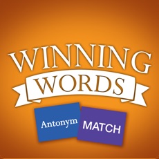 Activities of Antonym Match