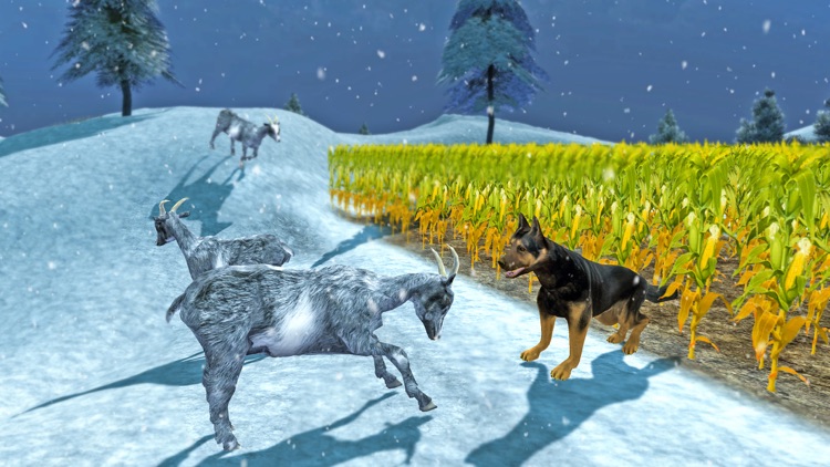 Arctic Shepherd Dog Simulator 2017