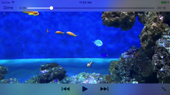 Aquarium Videos 3D(圖2)-速報App