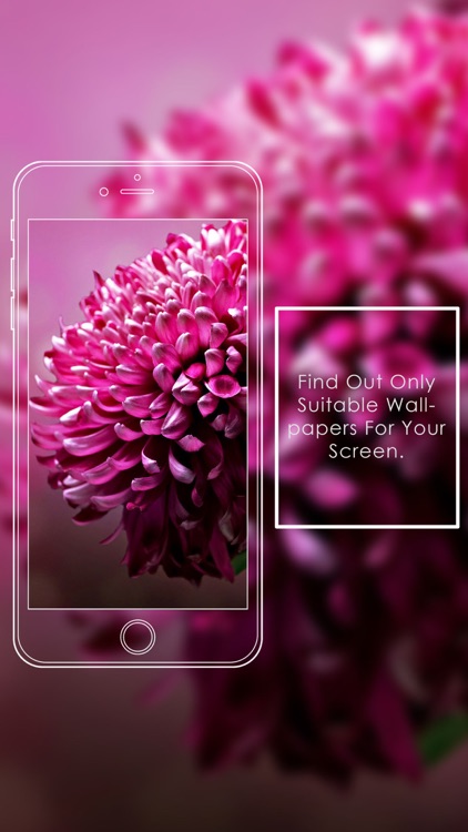 Pink Flowers HD WallPapers & Background Free screenshot-3