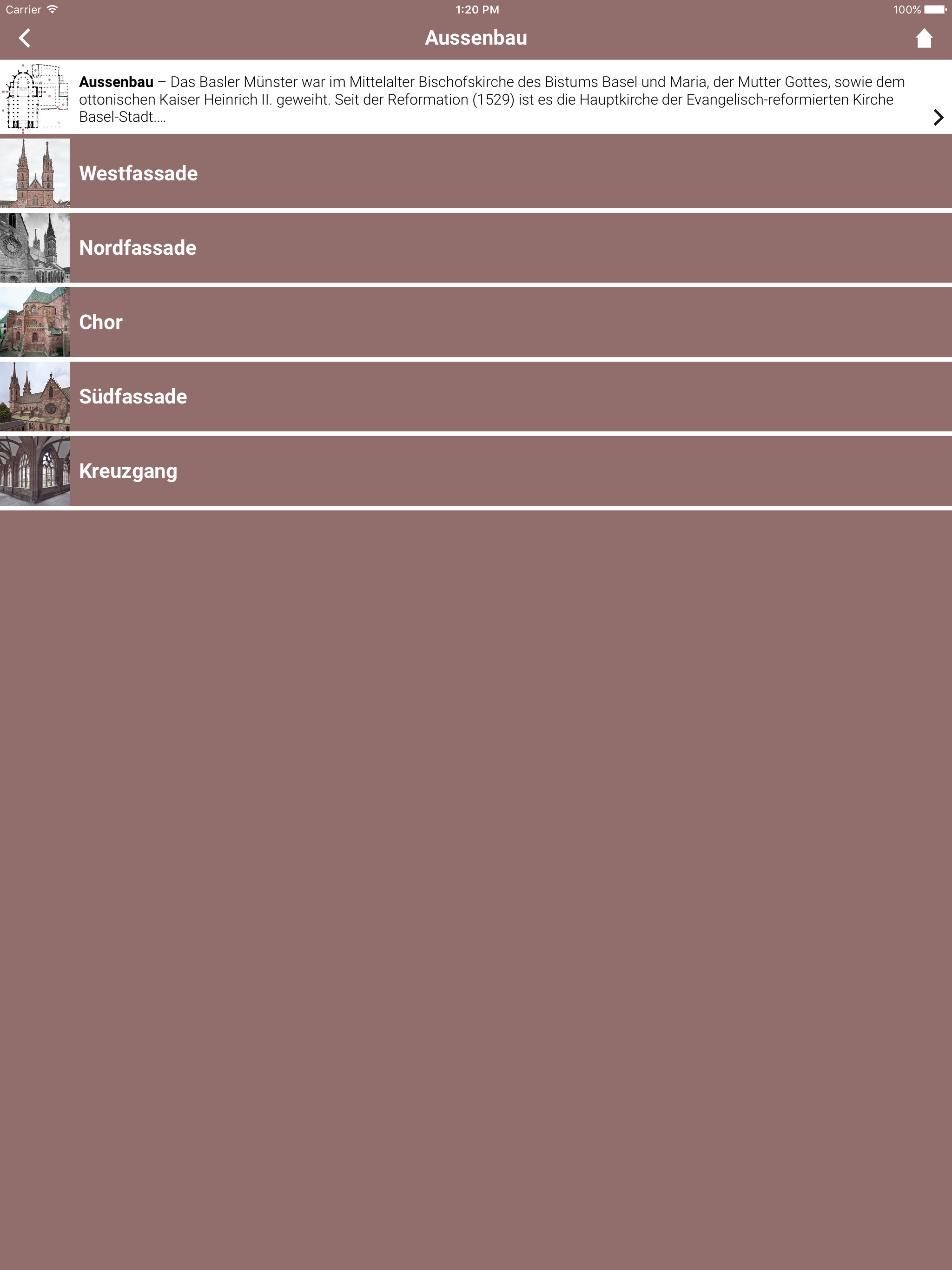 Basler Münster screenshot 7