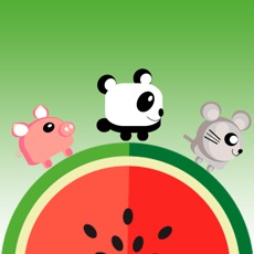 Activities of Cute Animal Runner
