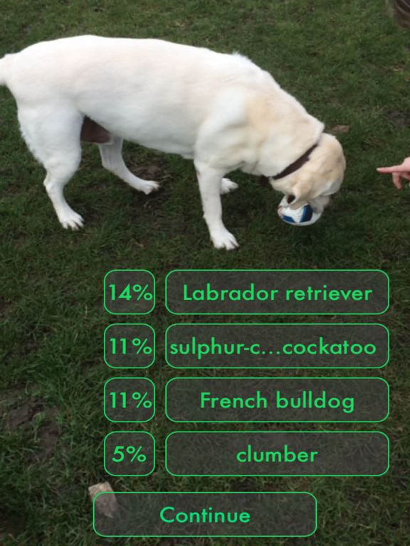 Screenshot #4 pour WikiLens for Wikipedia