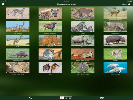 Mammal Guide of Southern Africa iPad app afbeelding 2