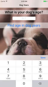 Dog Years - Fun And Simple Converter For Dog Years screenshot