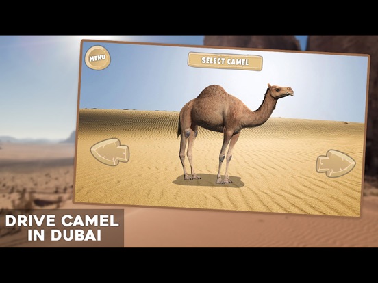Drive Camel Simulator iPad screenshot