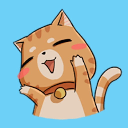 Brown Cat Funny