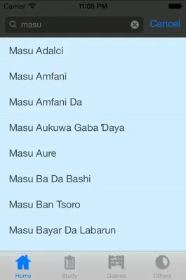 Game screenshot Hausa Dictionary apk