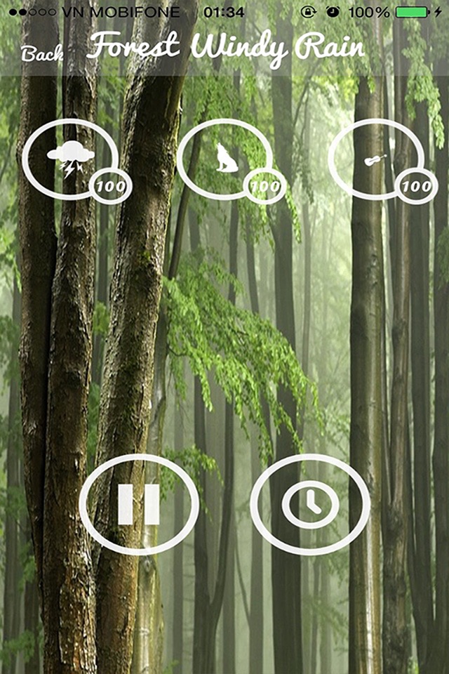 Forest Sounds - Forest Music,Sound Therapy screenshot 3