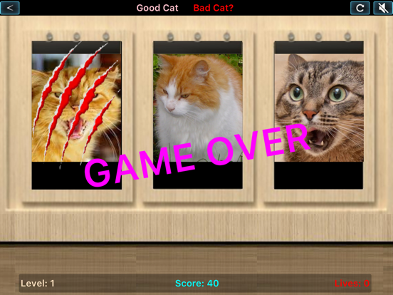 Screenshot #6 pour Good Cat Bad Cat