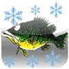 How To Ice Fish And Do It Well app icon - Sports app for iPhone