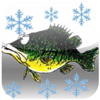 How To Ice Fish And Do It Well app icon - Sports app for iPhone