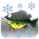 How To Ice Fish And Do It Well app icon - Sports app for iPhone