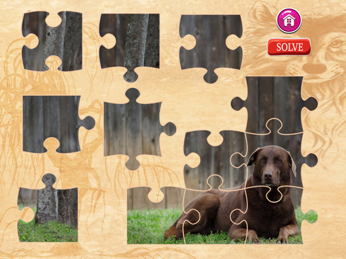Dog Jigsaw Puzzles - Activities for Family