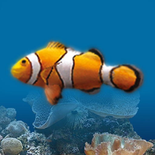 Marine Aquarium 2.6 iOS App