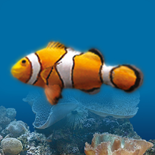 Marine Aquarium 2.6