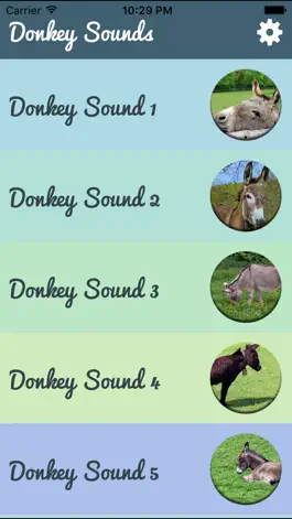 Game screenshot Donkey Sounds - Funny Sounds apk