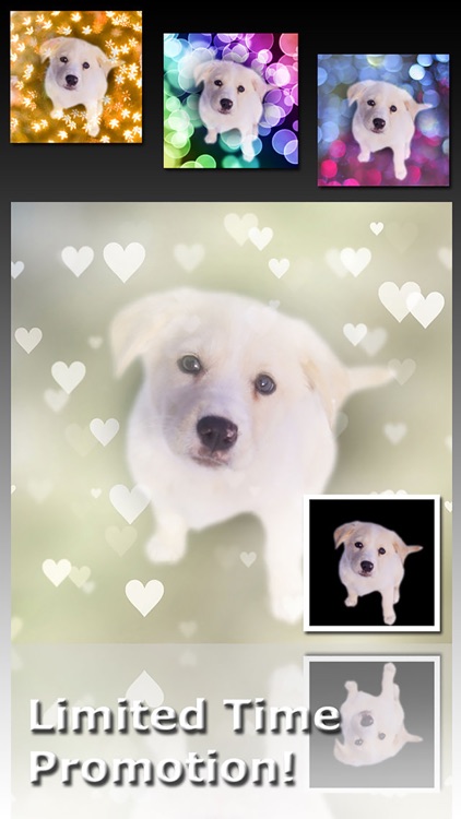 Fotocam Bokeh Camera - Photo Effect for Instagram screenshot-4