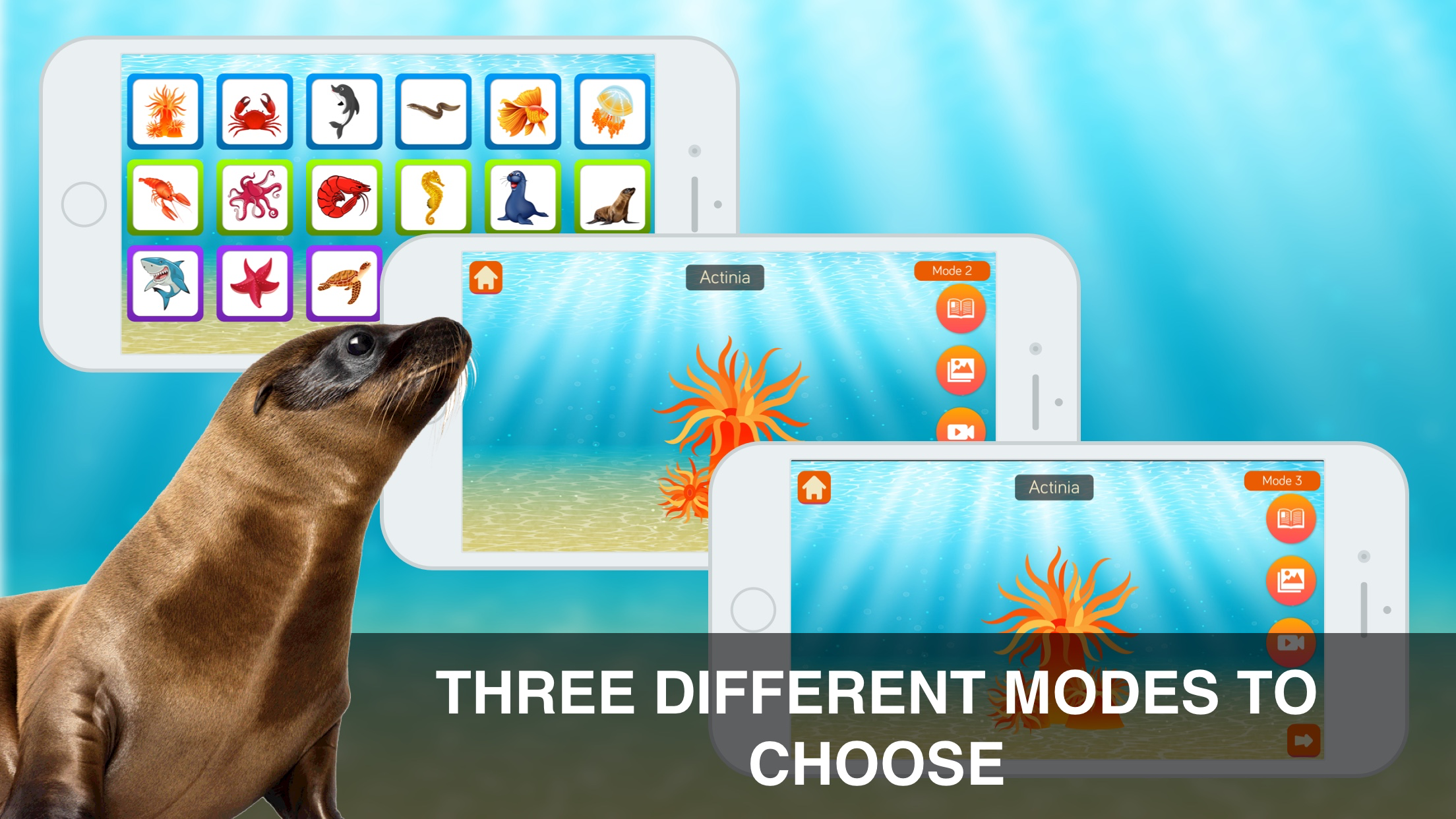Sea Animals Early Learning Flashcards screenshot 3