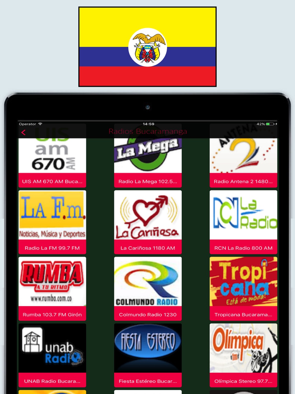 iPad screenshot