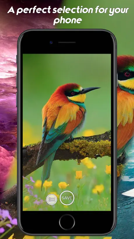 Wallpaper - Wallpapers HD - Background