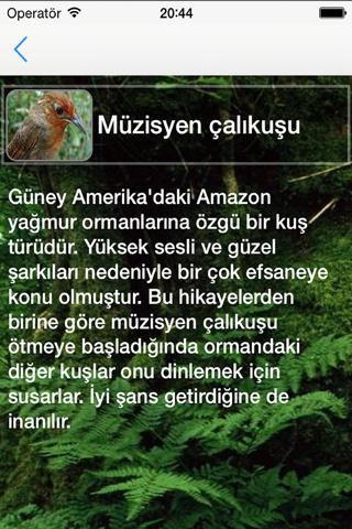 Kuş Sesleri - náhled