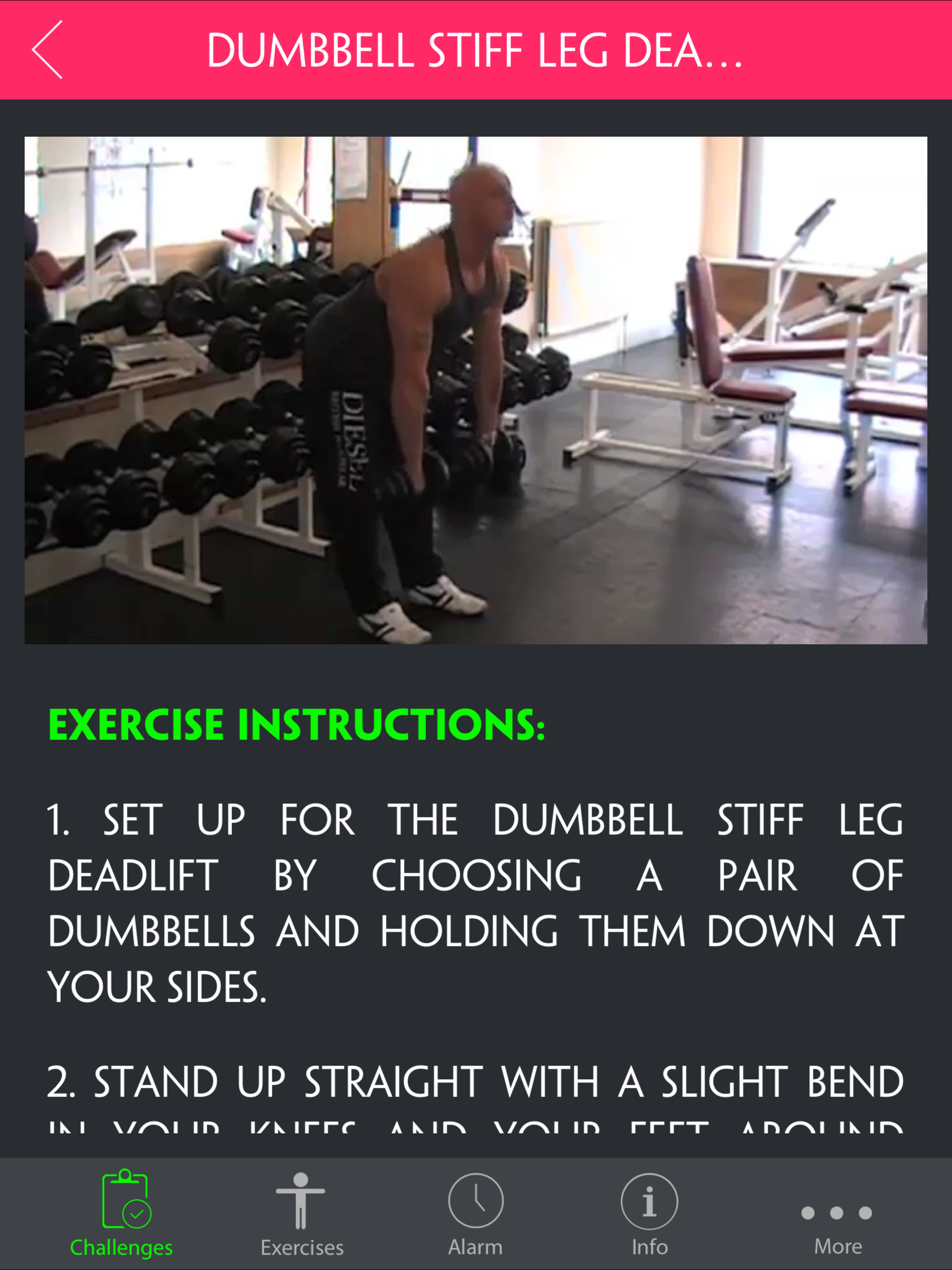 8 Week Big And Bold Workout ~ Muscle Building