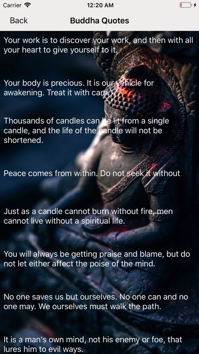 Buddha Quotes Image Editor screenshot 2