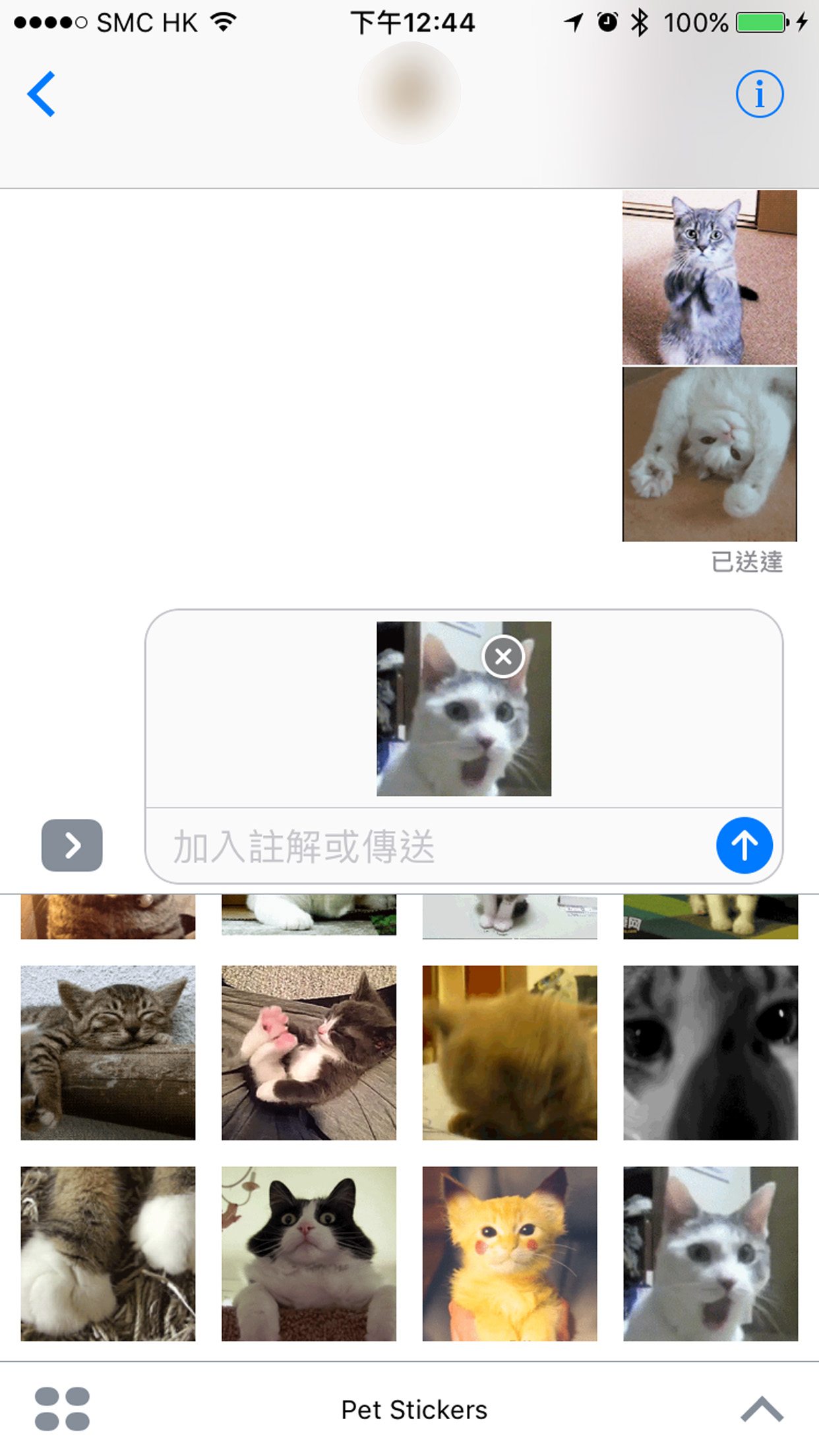 Pet Stickers - Cats & Dogs Animated Gif Stickers screenshot 7