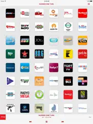 radio türkiye: top radios айпад изображения 1