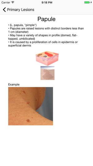 DermScribe(圖3)-速報App