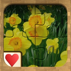 Activities of Jigsaw Solitaire Plants